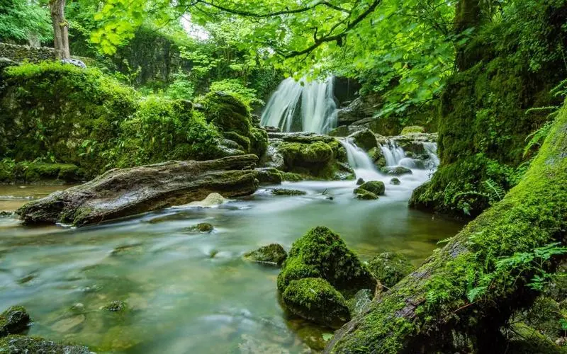 高性能智能化